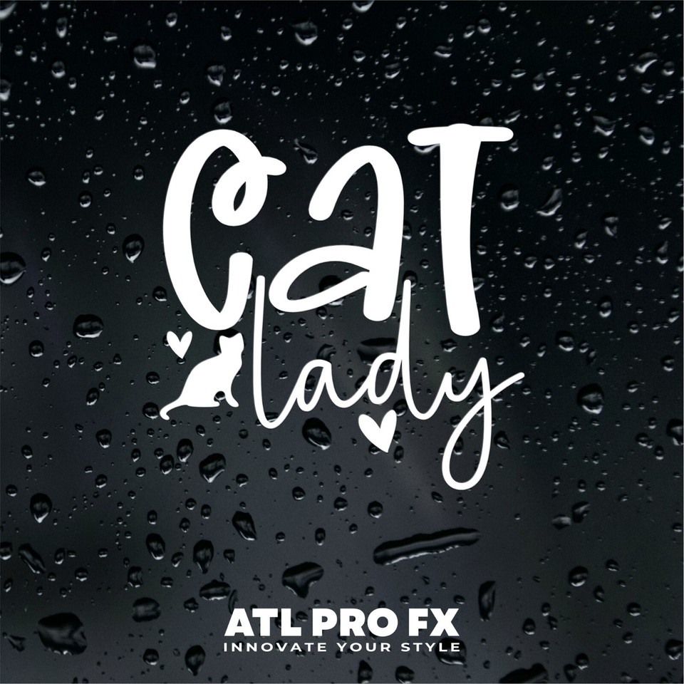 Cat Lady Small Vinyl Decal Sticker Transfer Car Van Motor Home eBay