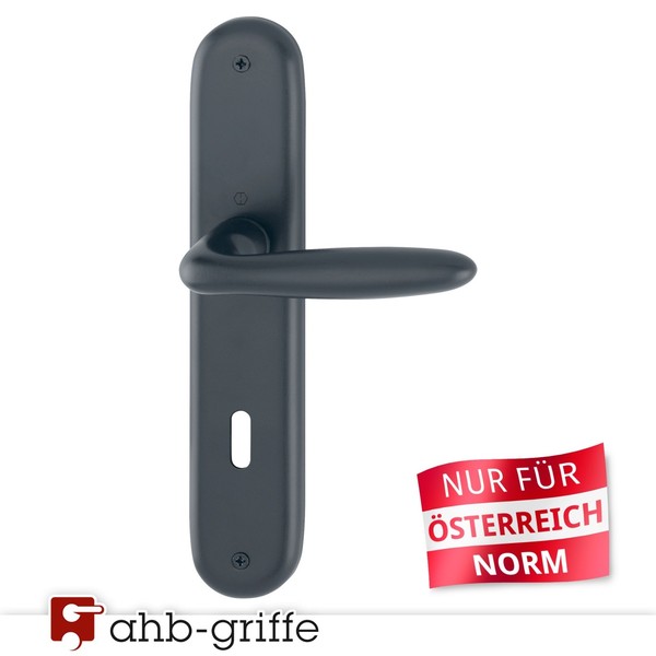 Hoppe TüRgriff Verona Langschild Schwarz Matt BB Ö-Norm TüRdrüCker TüRbeschlag-image