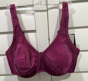Wacoal Berry Basic Beauty Full Figure No Padding Underwire Bra 855192 34 DD Nwt
