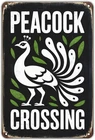 Peacock Crossing Vintage Peacock Tin Metal Signs Home Décor 8x12
