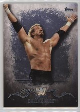 2016 Topps WWE Undisputed Diamond Dallas Page #53 HOF 8d4