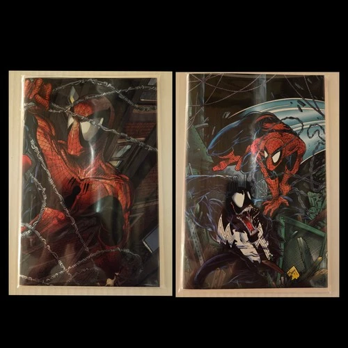 ASM 300 Todd McFarlane Virgin Panini Foil and Spider-Man Torment #1 🕸️
