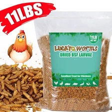 11 LBS Dried Black Soldier Fly Larvae Mealworms for Chicken Birds Treats Non-GMO