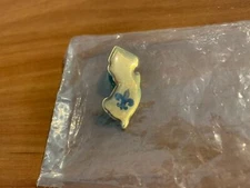 BSA, New Jersey Lucite Hat or Lapel Pin