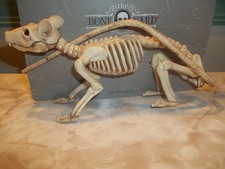 Boneyard Halloween Small Skeleton Rat Decoration Prop  NEW  
