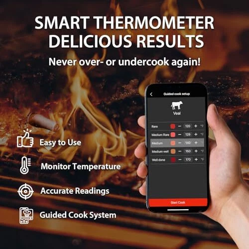 Meat Thermometer For Grilling And Cooking 932f Hightemperature 229ft Range Digit