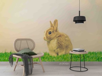 3D Rabbit Animal Close-up Wall Murals Wallpaper Murals Wall Sticker