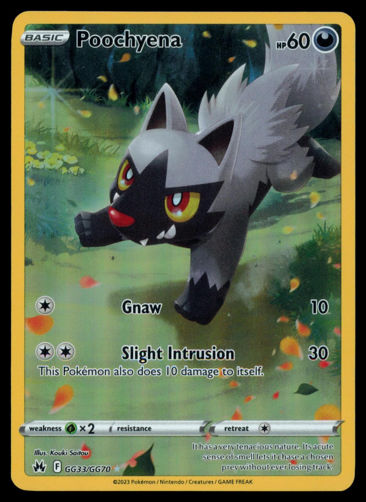 Poochyena GG33/GG70 Holo Crown Zenith Galarian Gallery Pokemon NM