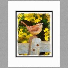 Carolina Wren Wild Bird Original Art Print 8x10 Matted to 11x14