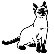 New Siamese Cat Permanent Vinyl Decal Vinyl Handmade For Windows Car 4