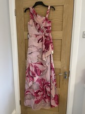 Adrianna Papell Pink Floral Full Length A Line Evening Dress Size 10 BNWT