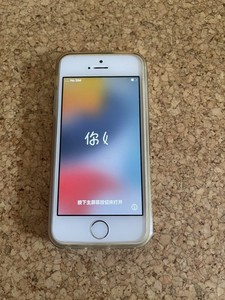iPhone SE 1. Generation 64GB
