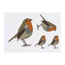 4 x 'Robin' Temporary Tattoos / Transfers TO00037879 
