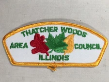 Thatcher Woods Area CSP plastic back BSA Patch