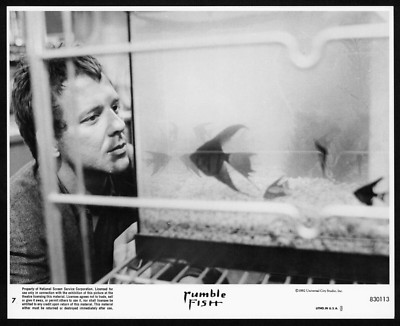 RUMBLE FISH Original Movie Mini Lobby Card S E Hinton Mickey Rourke ...