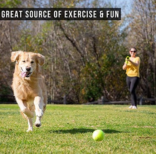 Dog Ball Launcher, Interactive Ball Thrower, Load & Lunch tennis balls For Dogs - Picture 3 of 8