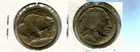 1913 P TYPE 1 BUFFALO HEAD NICKEL TYPE COIN CH BU 5849T