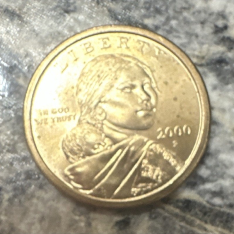 2000 Sacagawea Native American $1 Dollar Coin Uncertified Ungraded