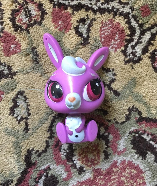 LPS Littlest Pet Shop Purple Bunny Rabbit Purple Eyes eBay