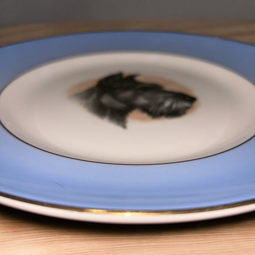small scottish terrier plate dish scottie dog black wall hanging Schnauzer - Picture 3 of 3