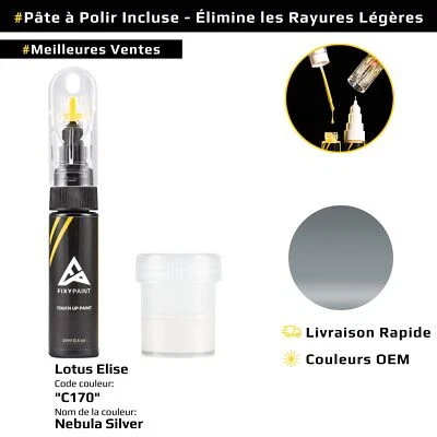 Peinture de retouche pour Lotus Elise Code: C170 Nebula Silver - Photo 1/4
