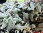 80g blue Plumbogummite/Pyromorphite mineral,Guangxi,China!