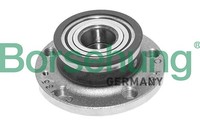 Radlagersatz Borsehung B15624 FüR Skoda Seat Roomster NH3 KG3 5J NH1 NK3 NK6 5J7