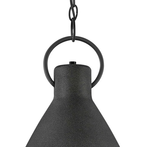 Hinkley Lighting 3557 Winnie 1 Light 12"W Pendant - Aged Zinc / Distressed Black - Picture 11 of 12