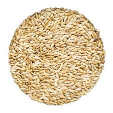 Alpiste Canary Seed for Birds 10 lbs Bulk Bird Food, 100 Pure Natural, N...