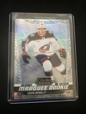 24-25 O-Pee-Chee Platinum Gavin Brindley Rookie Arctic Freeze 64/99 CBJ