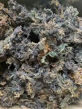 Irish Sea Moss Wildcrafted St Lucia Dr Sebi Raw (8 oz) makes 2 gallons of gel