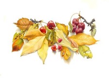 Leaves and berries by H. Haas Accent Tile Mural Kitchen Backsplash Ceramic 10x8