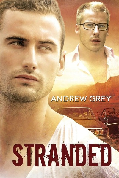Andrew Grey | Stranded | Taschenbuch | Englisch (2013) | Kartoniert / Broschiert-image