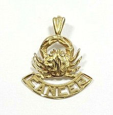 14k Yellow Gold Cancer Zodiac Crab Charm Pendant