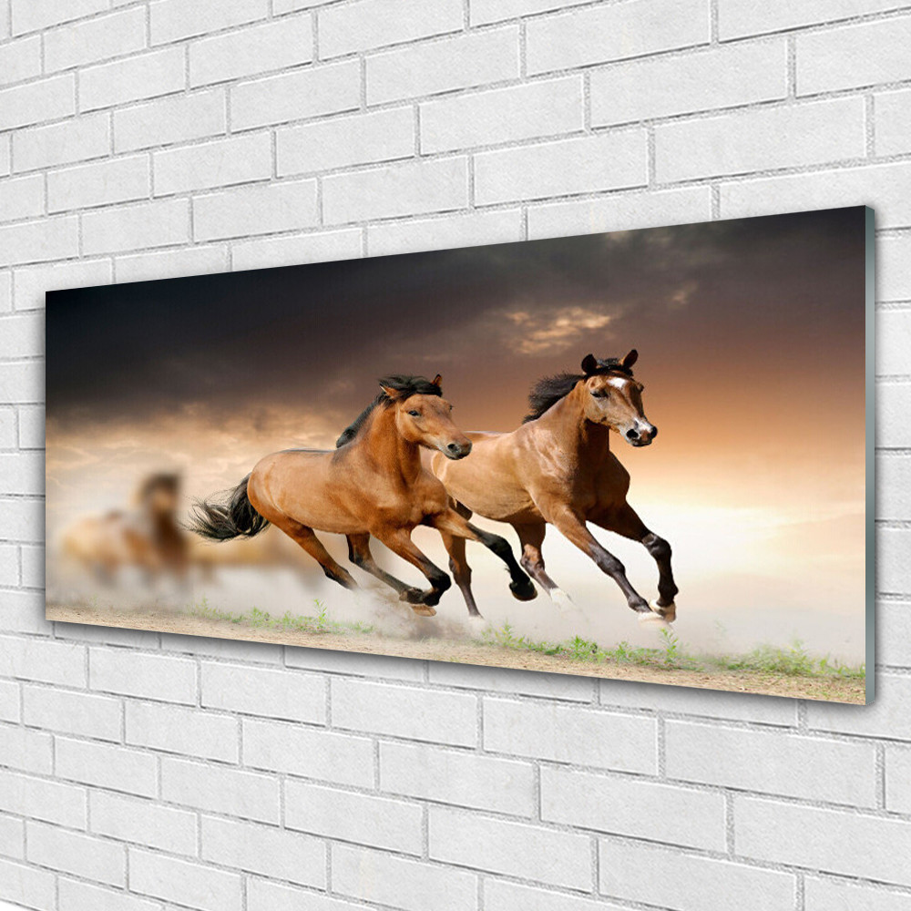 Tableaux 125x50 Animaux Chevaux en verre trempé pour décoration murale