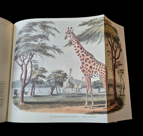 Portraits of the Game & Wild Animals of Southern Africa W Cornwallis Harris 1969 - Picture 5 of 6