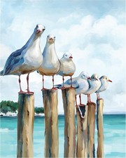 Diy Paint By Numbers Kit For Adults Beginner Seagull Blue Sea Paint By Numbers 1