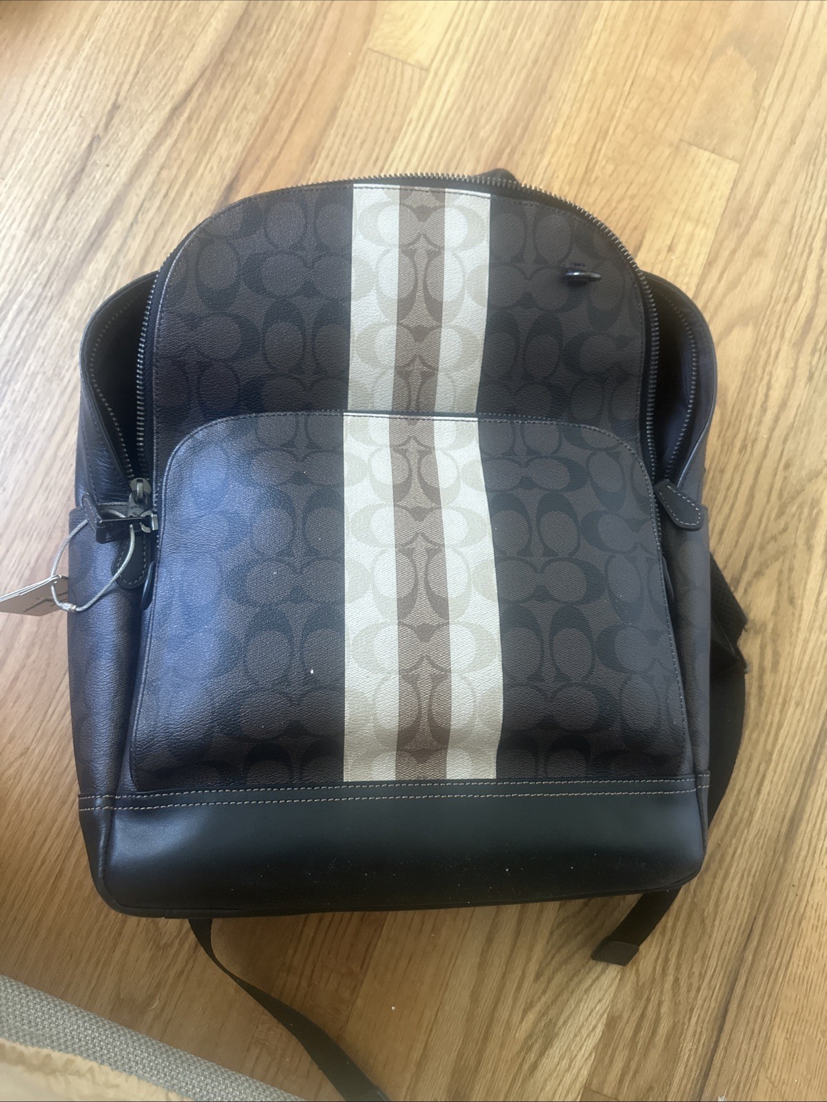 Coach Backpack - image 1