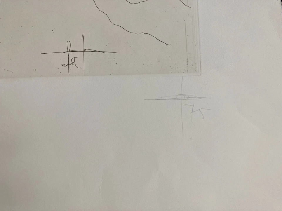 Jonas Hafner Grafik Selbst Schlange Radierung signiert - Bild 3 von 4