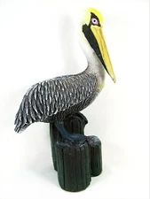 Pelican standing on harbor pilling Tropical sea bird decor