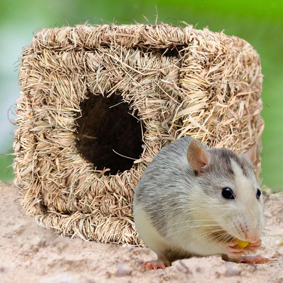 Chew toys for clearance mice