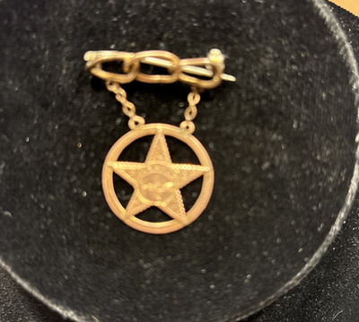 Odd Fellows Daughters of Rebekah Brooch Gold Star Emblem Pin