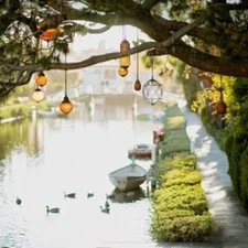 HEAVEN Fragrance Oil to craft Candles Soaps Lotions Bath products