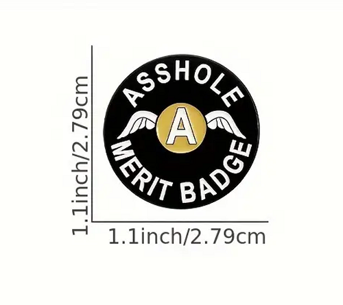 A*SHOLE MERIT BADGE Lapel Pin brooch a*s hole A wings enamel funny pinback Black - Picture 4 of 4