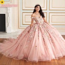 Pink Quinceanera Dresses Ball Gown 3D Floral Applique Beading Corset Sweet 15 16