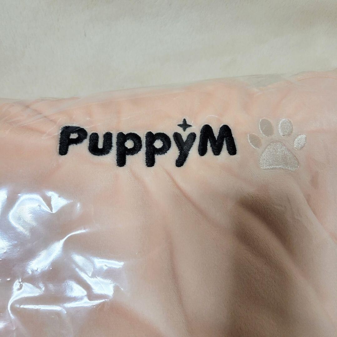 Stray Kids Xmas POPUP STORE 2023 Seungmin puppym Blanket | eBay