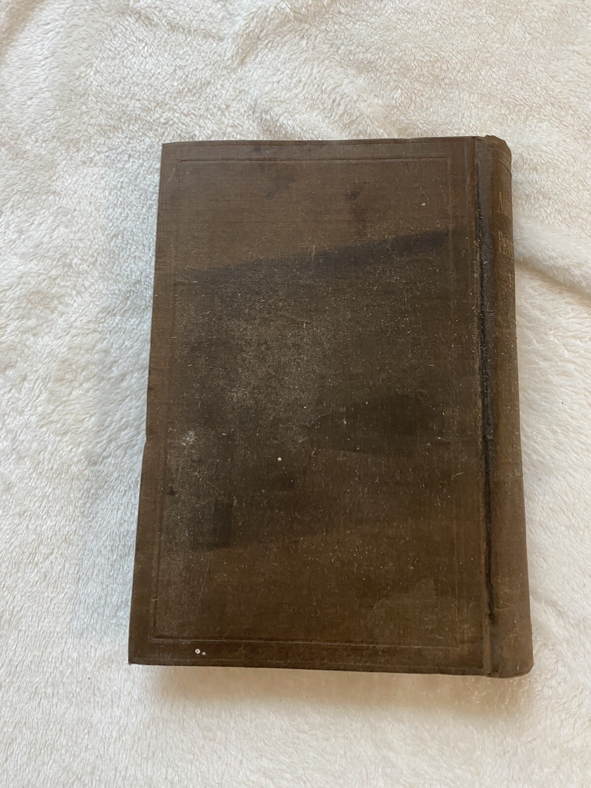 Picture 3 of 21