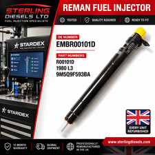 Delphi Injector FORD PEUGEOT CITROEN FIAT 2.0 EMBR00101D/9686191080/9M5Q9F593BA