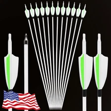 12X 30" Archery Carbon Arrows 3" Feather SP500 Recurve Compound Bow Hunting