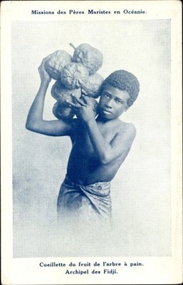 Ak Fidschi, Mission des Peres Maristes, Cueillette du fruit de... - 3815572